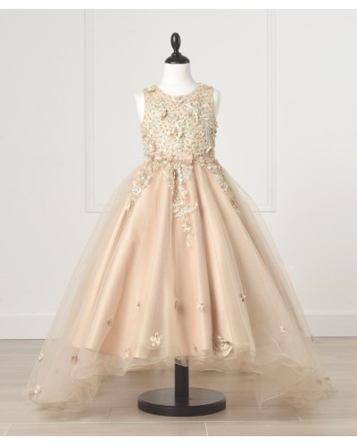 Robe princesse petite fille